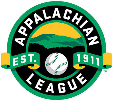 Appalachian League 2016-2019 Primary Logo iron on transfers for T-shirts
